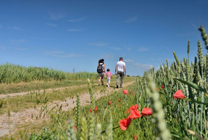 Promenades et rando