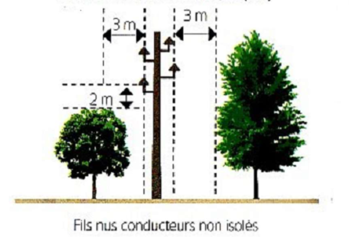 Entretenir son jardin et les abords de son habitation