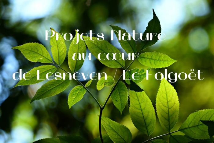 Projets Nature Lesneven / Le Folgoët