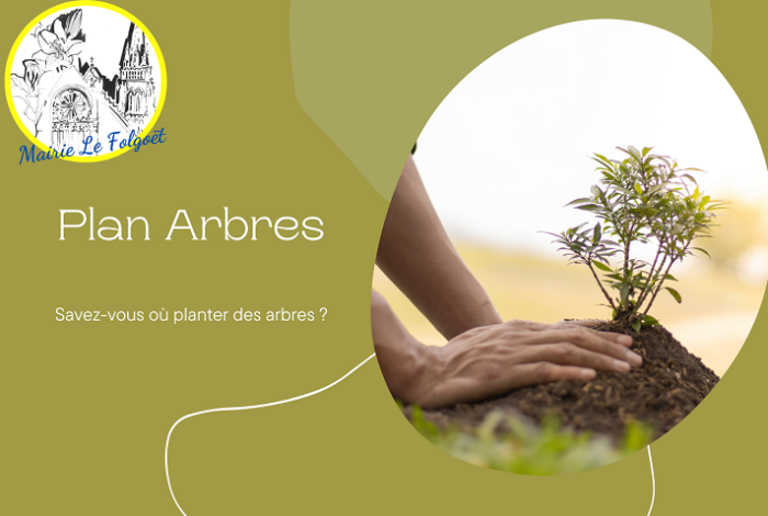 Plan Arbres