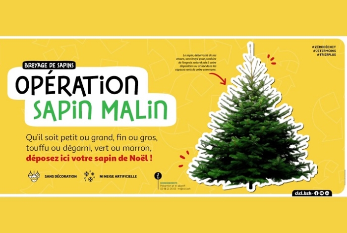 Opération sapin malin !