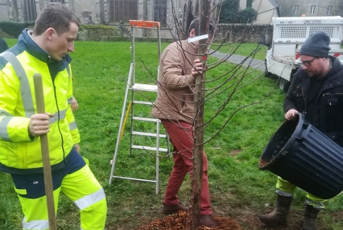 Autour des arbres