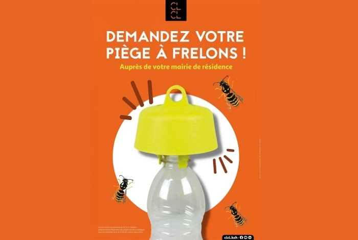 Distribution de pièges à frelons asiatiques