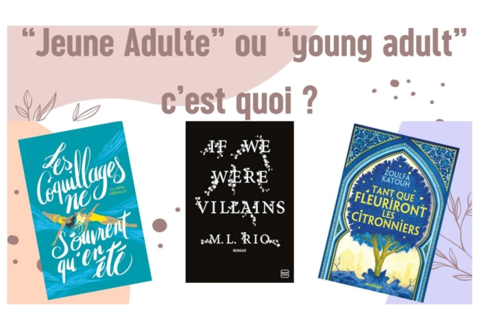 Bibliothèque : Jeune adulte